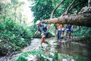 BIB: 
                            <button type="button" onclick="openModal(25444355)" class="btn btn-primary btn-sm float-right btn-popup" data-toggle="modal" data-target=".modal-high-quality">
                        <i class="fas fa-shopping-cart"></i> Add to Cart
                    </button>
                                            <button type="button" onclick="isThisMe(25444355, true)" class="btn btn-success btn-sm float-right btn-popup btn-isme hidden" data-toggle="tooltip" data-placement="bottom" title="นี่คือรูปของคุณใช่ไหม คลิกที่นี่เพื่อเอาเข้าอัลบั้ม">
                        <i class="fas fa-plus"></i> Add to album
                    </button>
                    <button type="button" onclick="isThisMe(25444355, false)" class="btn btn-warning btn-sm float-right btn-popup btn-isnotme hidden">
                        <i class="fas fa-ban"></i> Remove from album
                    </button>